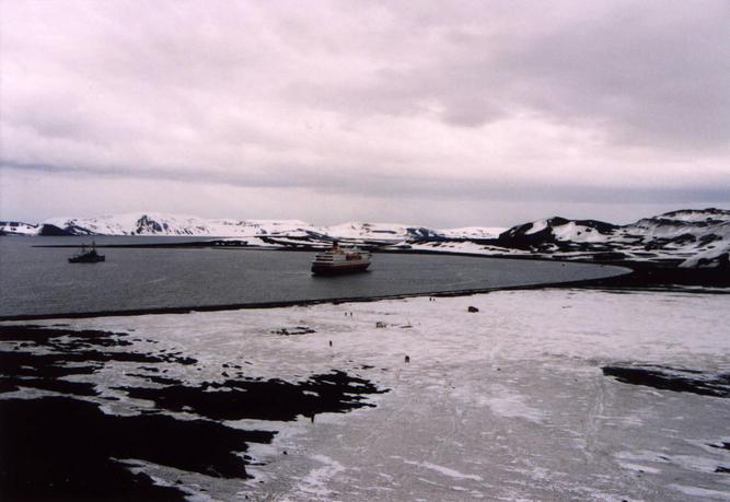 North and east part of Port Foster. Whalers Bay in the foreground