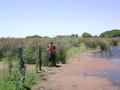 #6: Pantanos en el camino - Swamps in the path