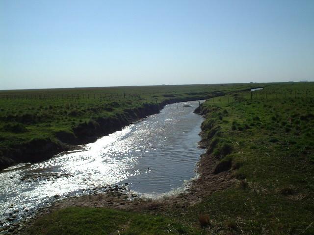 an arroyo, a small river