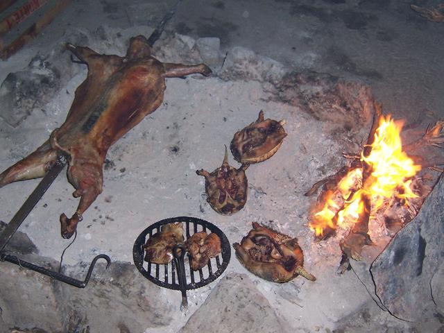 Chivo y piches a la parrilla - Goat and Armadillos roasted