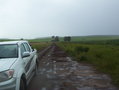 #8: Caminos antes de la lluvia fuerte / Dirty roads before deluge