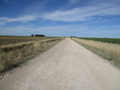 #7: Camino Rural. Country road