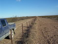 #7: Barbed fence at 150 mts from CP