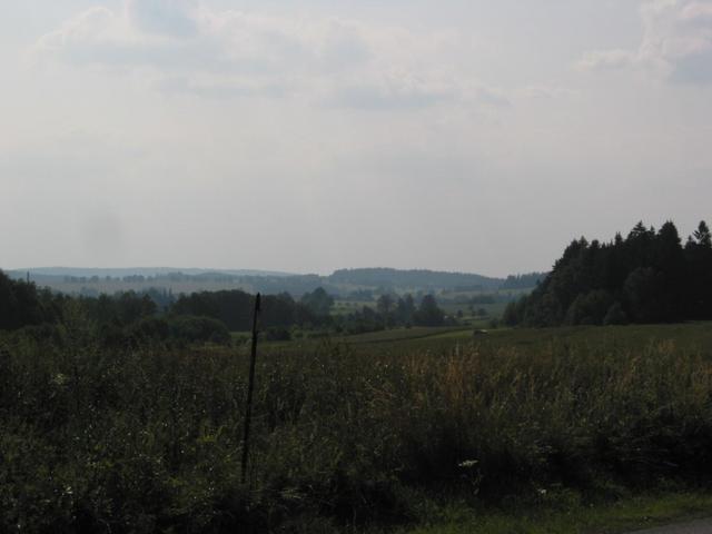 Distance view of a clearing area about 3KM east of Confluence