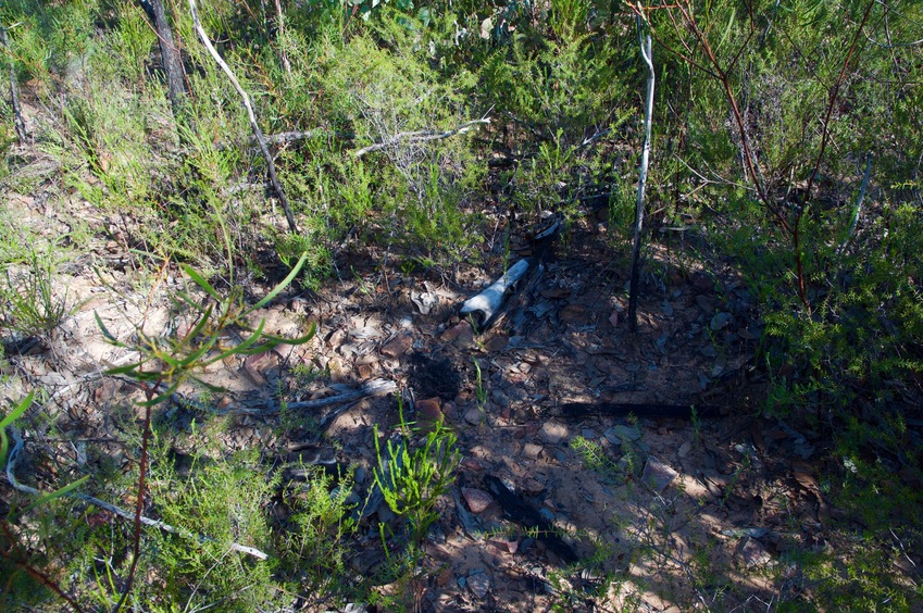 The confluence point lies in a patch of scrub within the forest - with clear evidence of the bush fire more than 9 years earlier