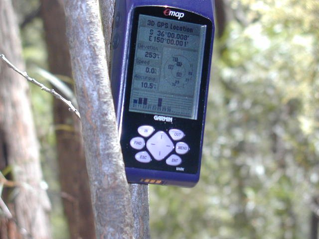 GPS hanging from a tree with the co-ordinates displayed