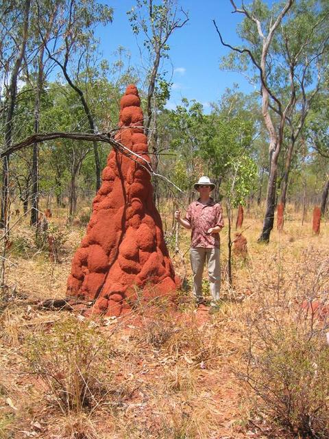 Colin and a termite mound near the confluence