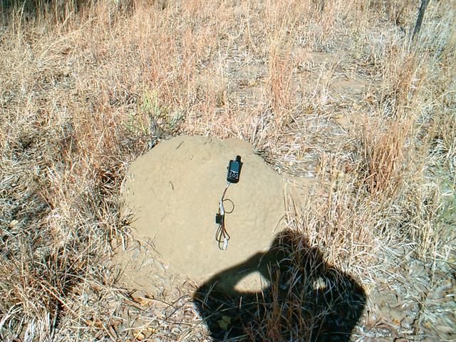 GPS showing zeros on an old termite hill.