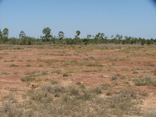 #1: View of site from the North
