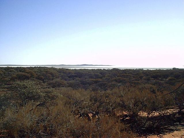 Looking east towards Lake Gairdner from a nearby sand dune