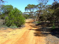 #9: Summer Track leading towards the Confluence