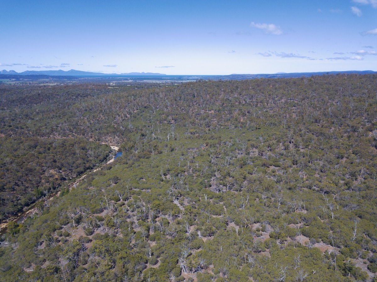 View South (towards Great Oyster Bay and the Freycinet Peninsula), from 120m above the point