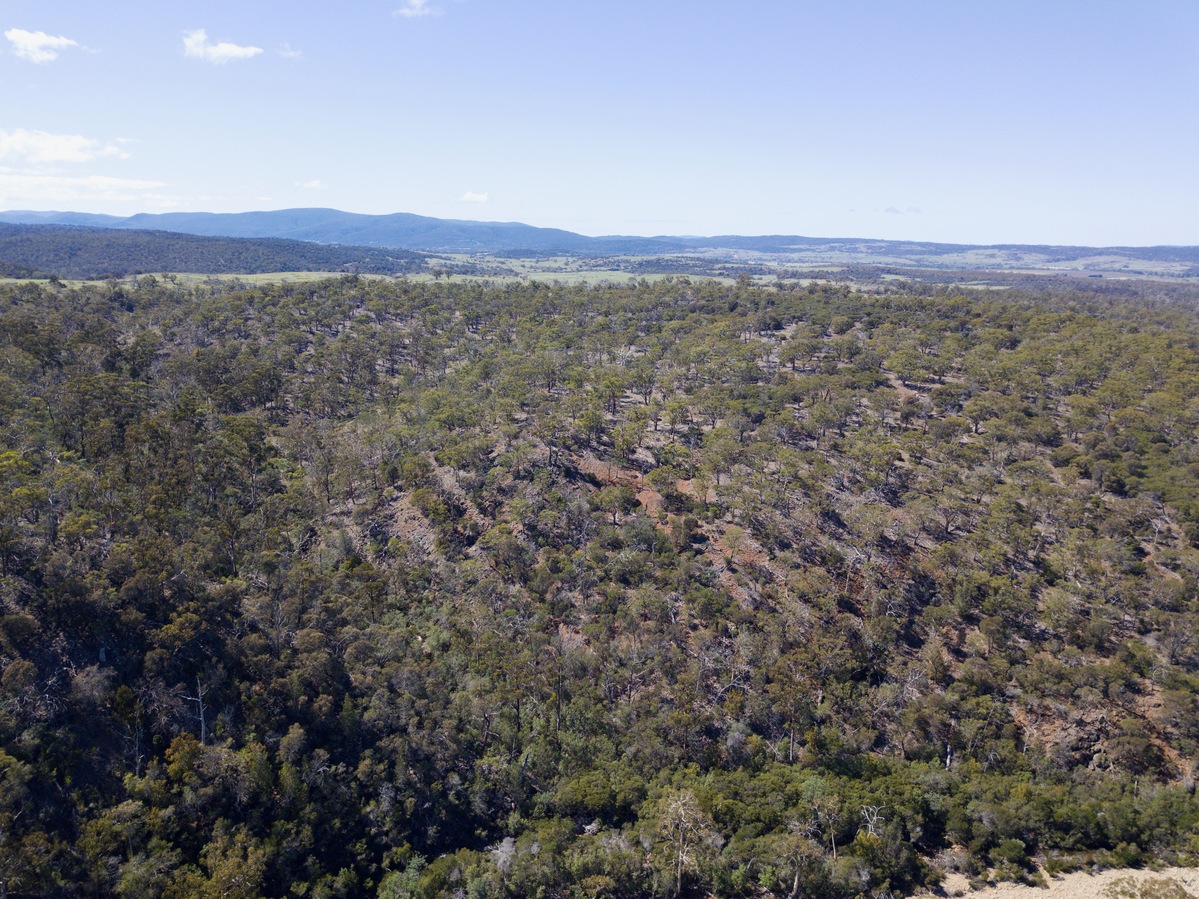 View East, from 120m above the point