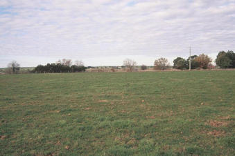 #1: View to the east, toward the Maffra-Sale Road.