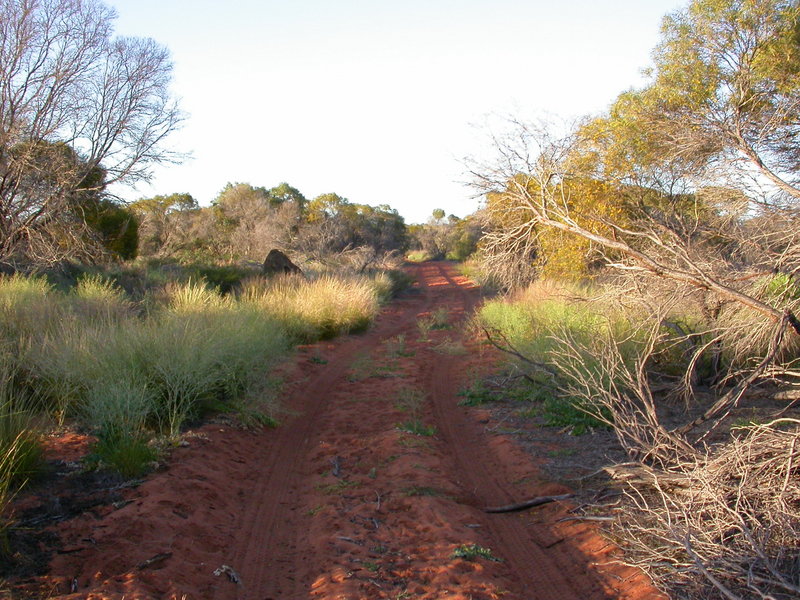 track near camp site