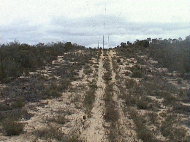 Looking north from picture 1, up last sand dune, 13 km from the road
