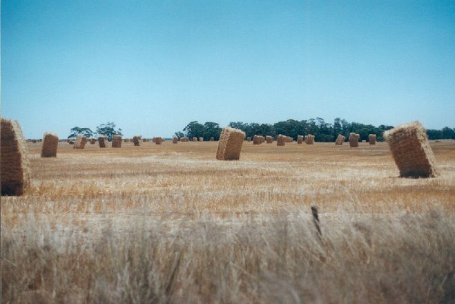 Western Australia's equivalent of Stonehenge - Hayhenge