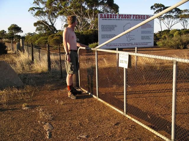 At gate 54 on the "Rabbit Proof Fence"