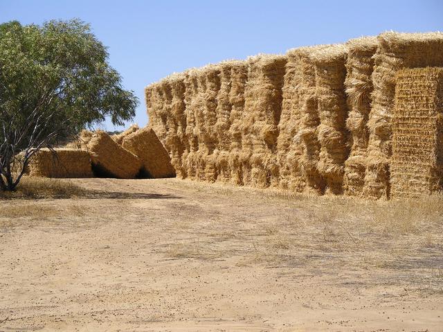 Lots of hay (a good year)