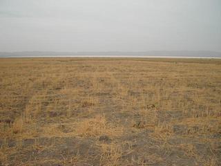 #1: the general area of the confluence (60m distance)