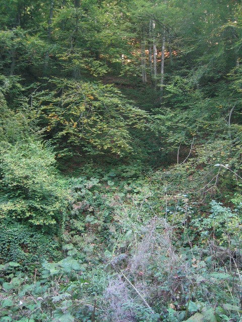 Virgin hillside, 170 meters into which, was the confluence