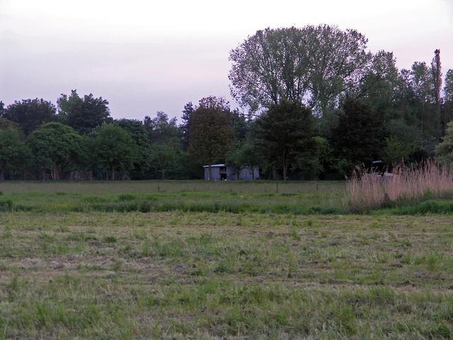 Farm buildings in the distance