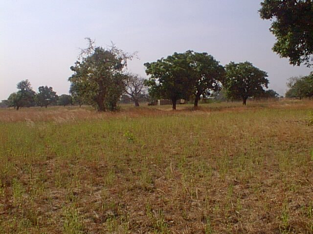 Looking southwest towards a house in Ghana