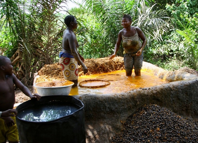 Women extracting the oil in a pit