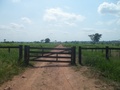 #8: Entrada da Fazenda Rita de Cássia, porteira trancada a cadeado - Rita de Cássia farm entrance, locked gate