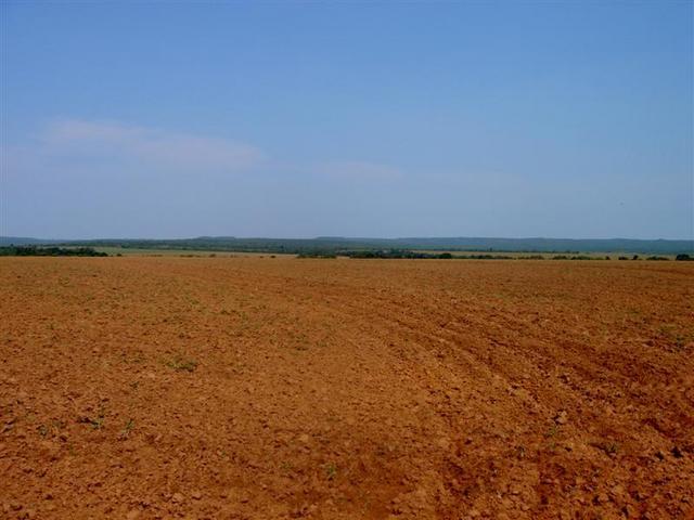 The confluence is located in the  middle of a plowed field