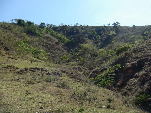 General view. The CP is 20 m to top of hill