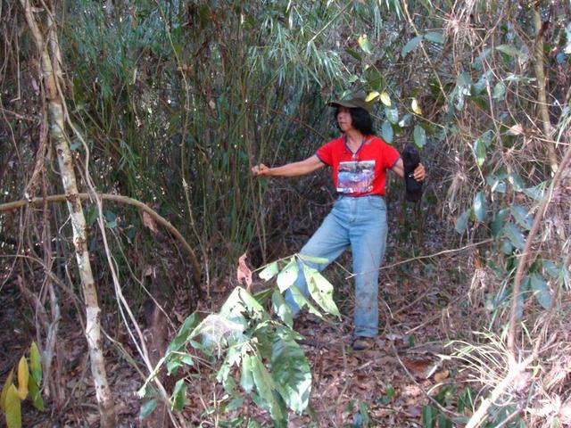 Mata densa, dificil de caminhar. Hard walk to CP through the dense bush.