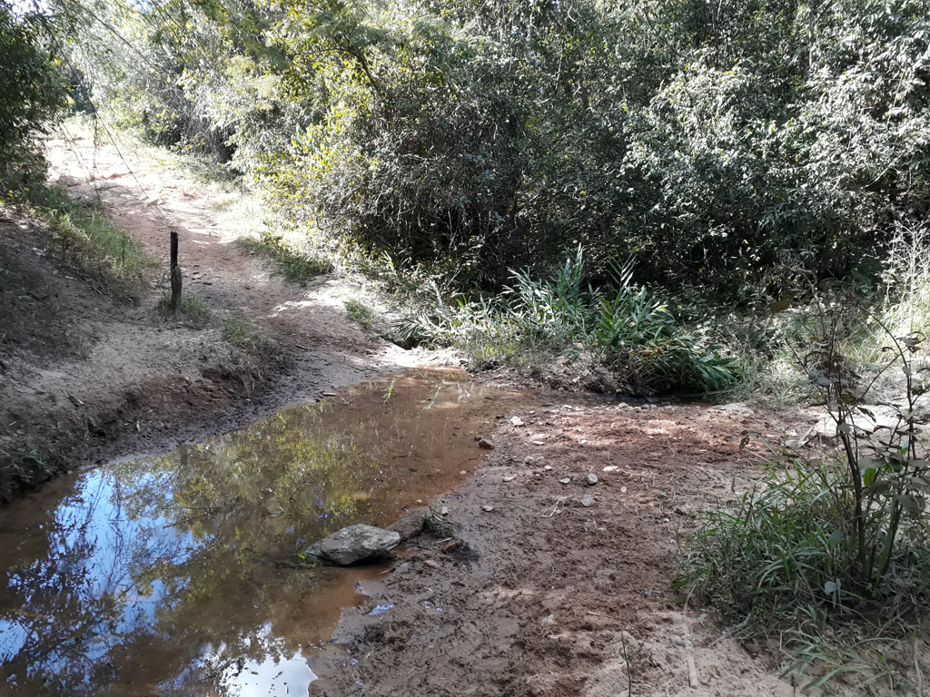 Atravessando o riacho - crossing the stream