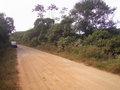 #8: A estrada de terra passa a 99 metros da confluência - dirt road 99 meters close to the confluence