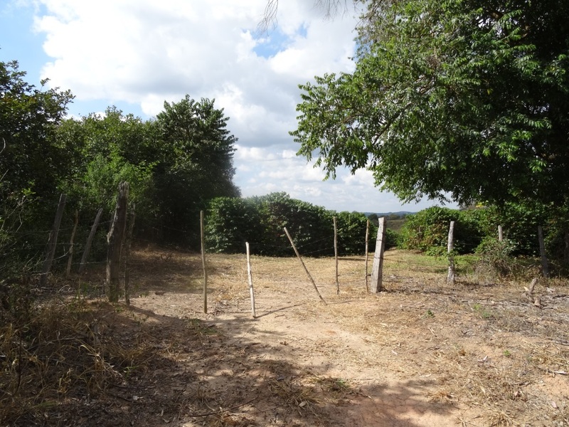 Acceso a la plantación de café. Access to coffee plantation