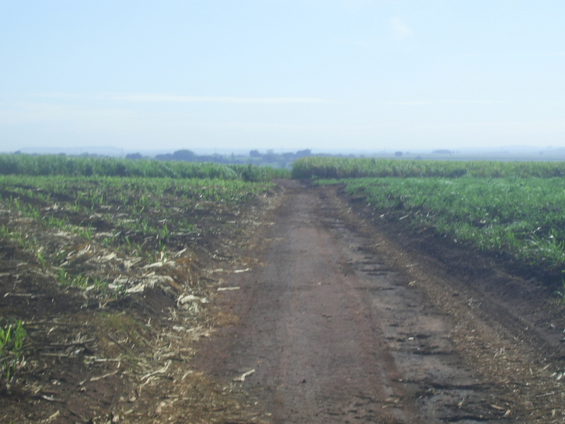 Estrada de terra em direção à confluência - dirt road following to the confluence