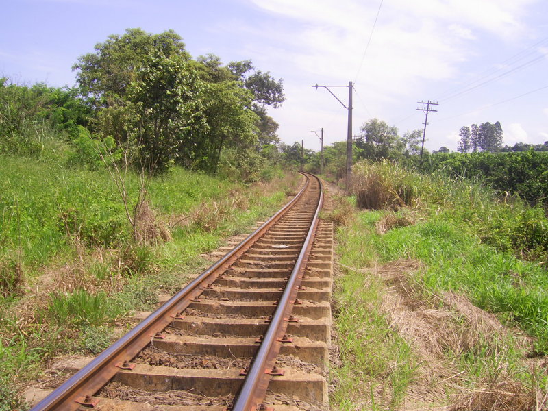 Linha de trem - railway