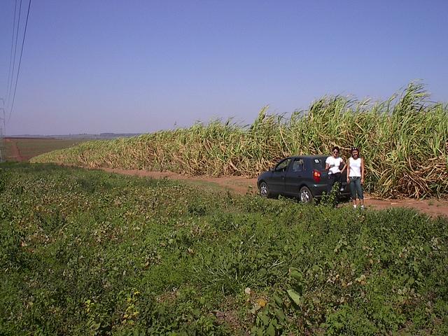 South view. Valeria and Cris at the edge of sugarcane plantation, 54m from confluence point.