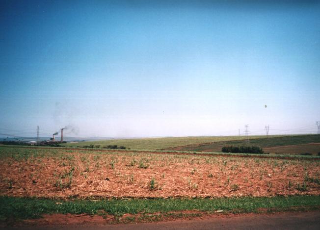 Panoramica. Sugar mill (left), power transmission lines, and sugarcane plantation where the confluence point is located (right).