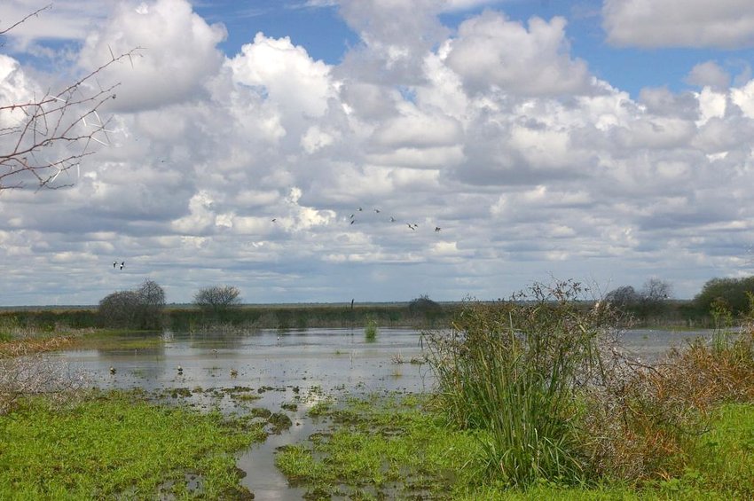 Lake Ngami in western Botswana