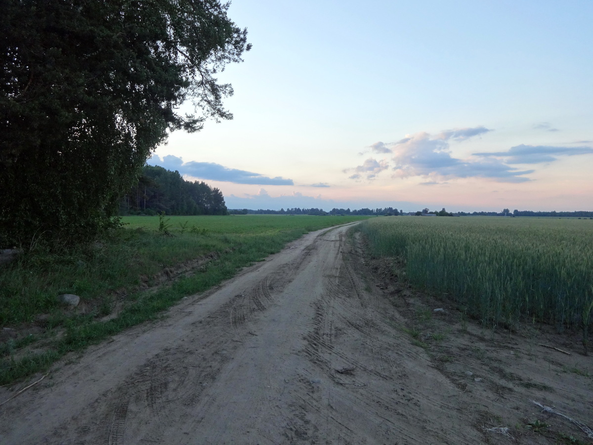 Dirt field road to CP / Полевая дорога к точке