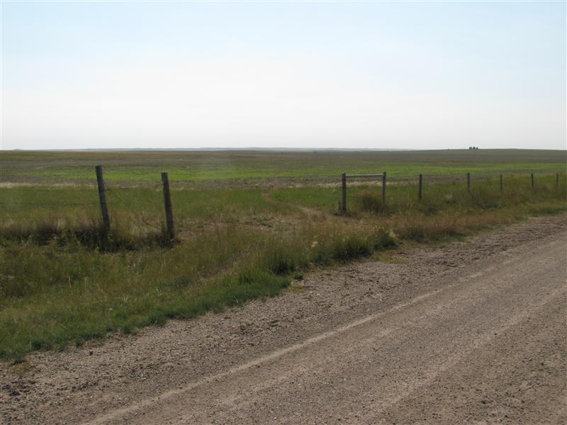 Looking SE towards the confluence (463 m away) from the open gate off Range Road 154.
