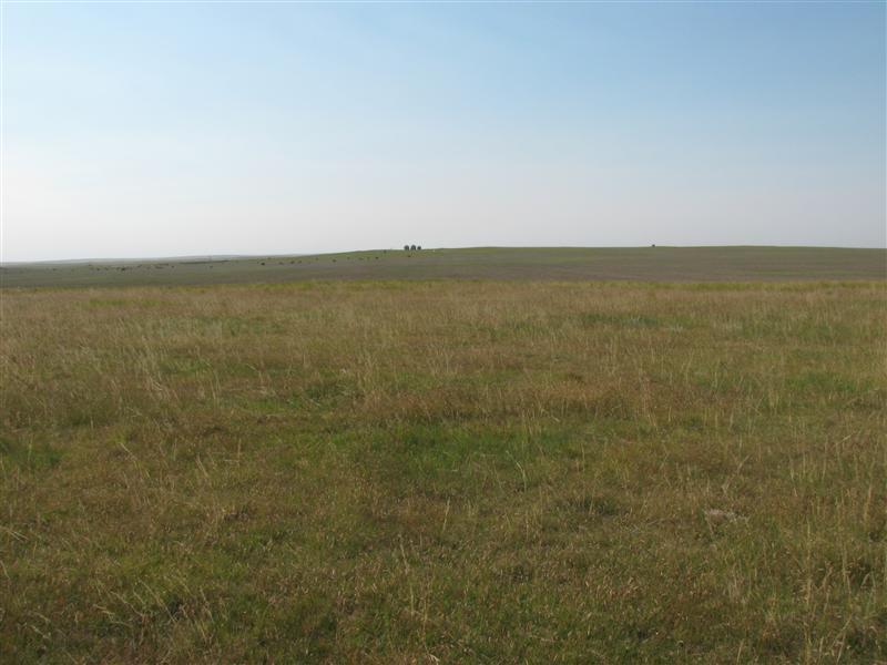 The view South.  The "dots" in the far field are cows.