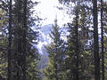 #3: Picture of the distant view of the mountains (Fisher Range)