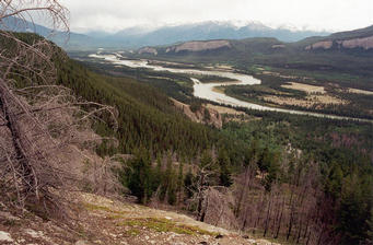 #1: Looking south from the highpoint, 300 meters above the Athabasca Valley