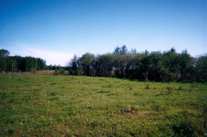 View north of the pasture in which the confluence is situated.