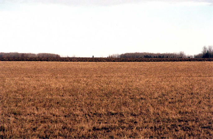 Stubble:  The view east