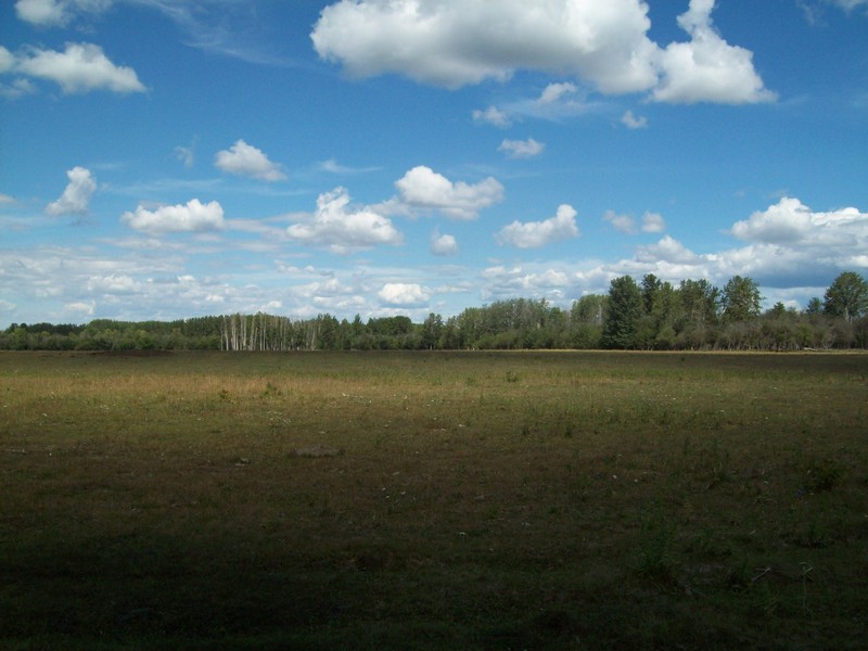 The nearest open space, the pasture where we left the quads.