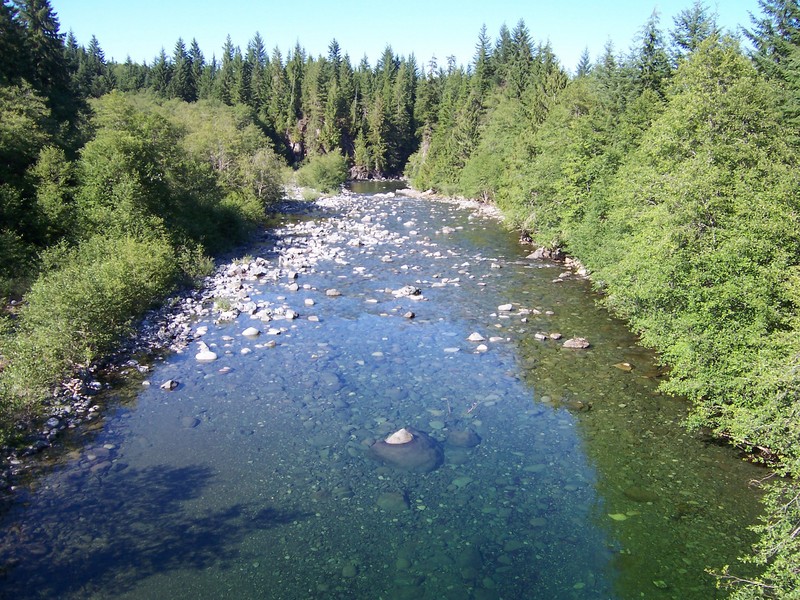 Salmon River