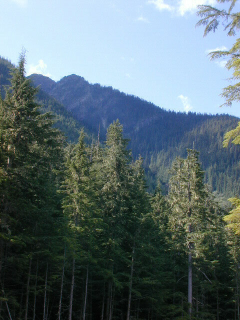 looking up the mountain toward the confluence